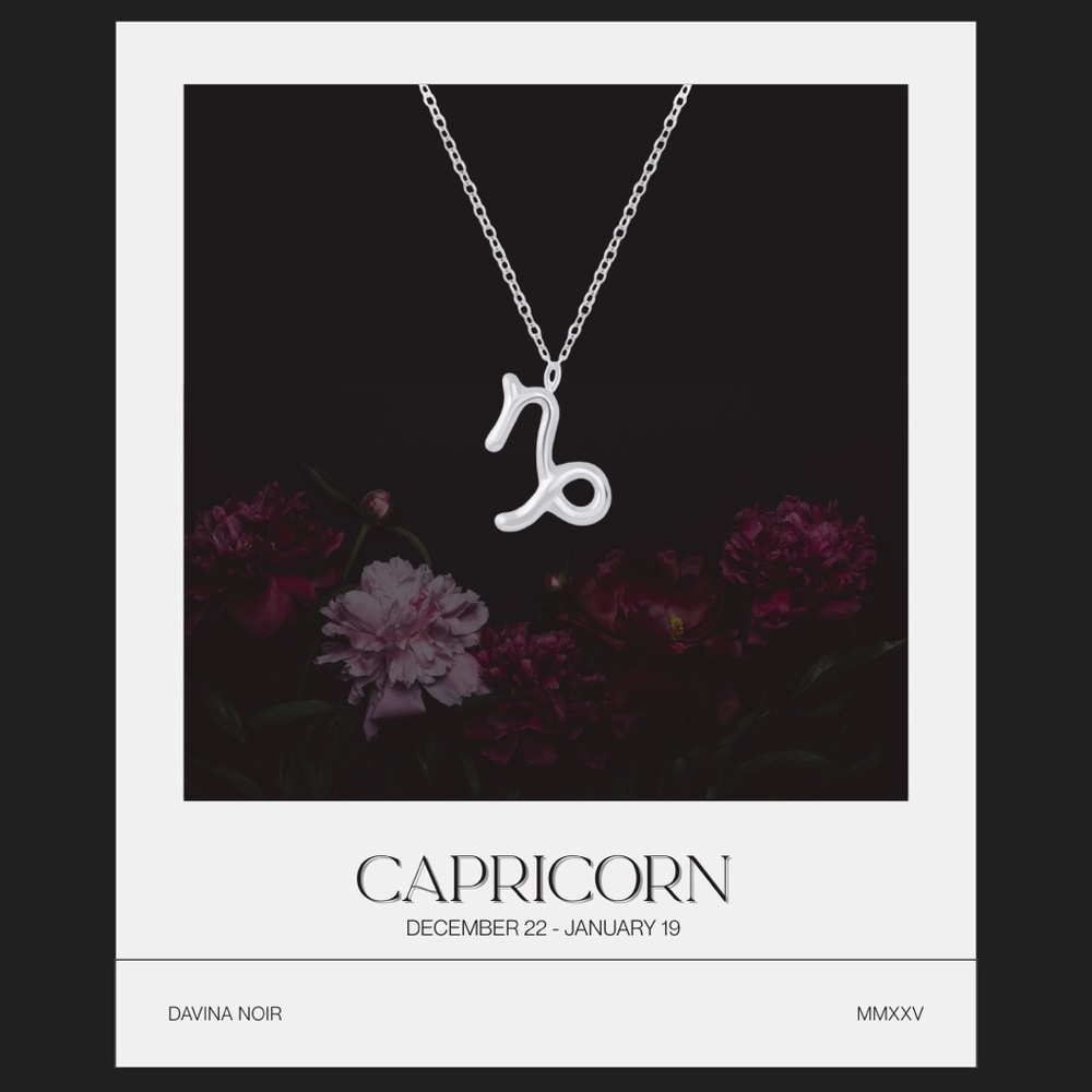 Capricorn Zodiac 925 Sterling Silver Tiny Necklace